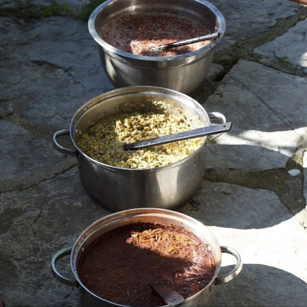 Botanically dyeing process